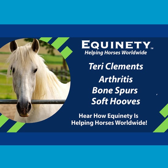 102 - Teri Clements – PA – 23 yr old mare - Arthritis – Bone Spurs in Coffin Joints – Soft Hooves copy