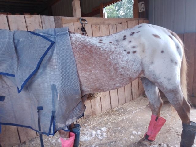 4 - Dec 2020 - 41 Year Old After Equinety - 10 months