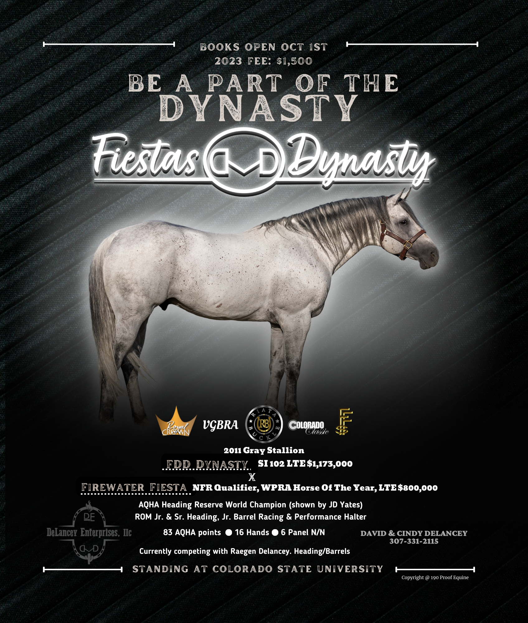 Fiestas Dynasty Wrangler