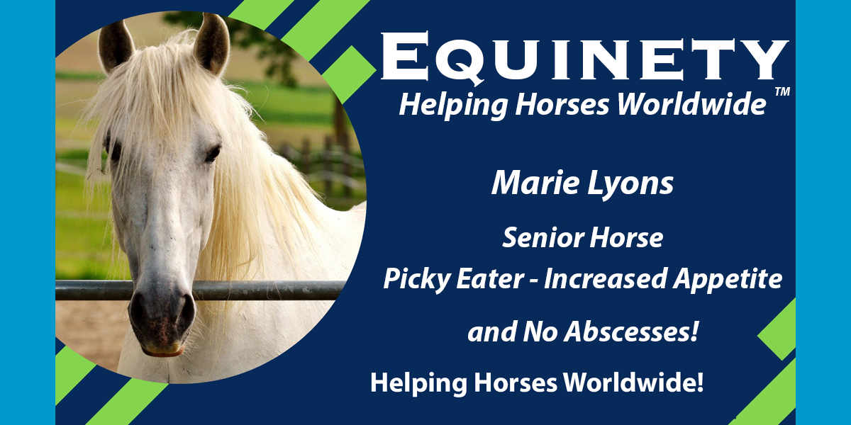 Marie Lyons – 41 year old senior horse - Picky Eater – Increased appetite – No abscesses