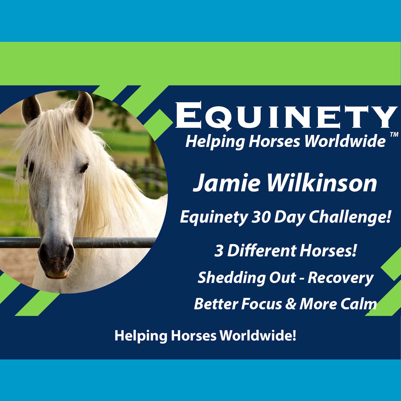 Jamie Wilkinson - Shedding - Recovery - Better Focus - More Calm