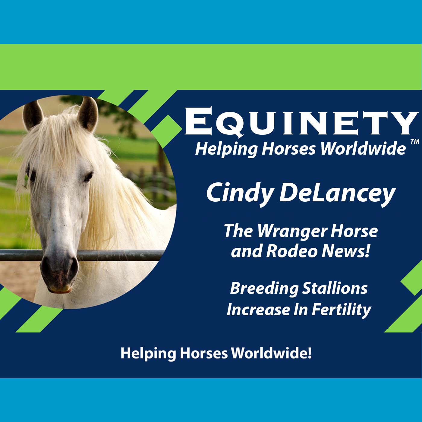 Cindy DeLancey - The Wrangler Horse and Rodeo News - Breeding Stallions