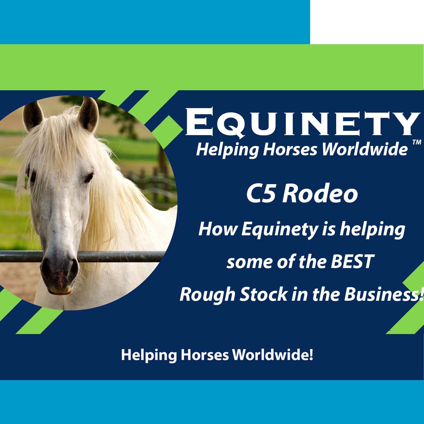 C5 Rodeo - Rough Stock - The BEST in the Business!