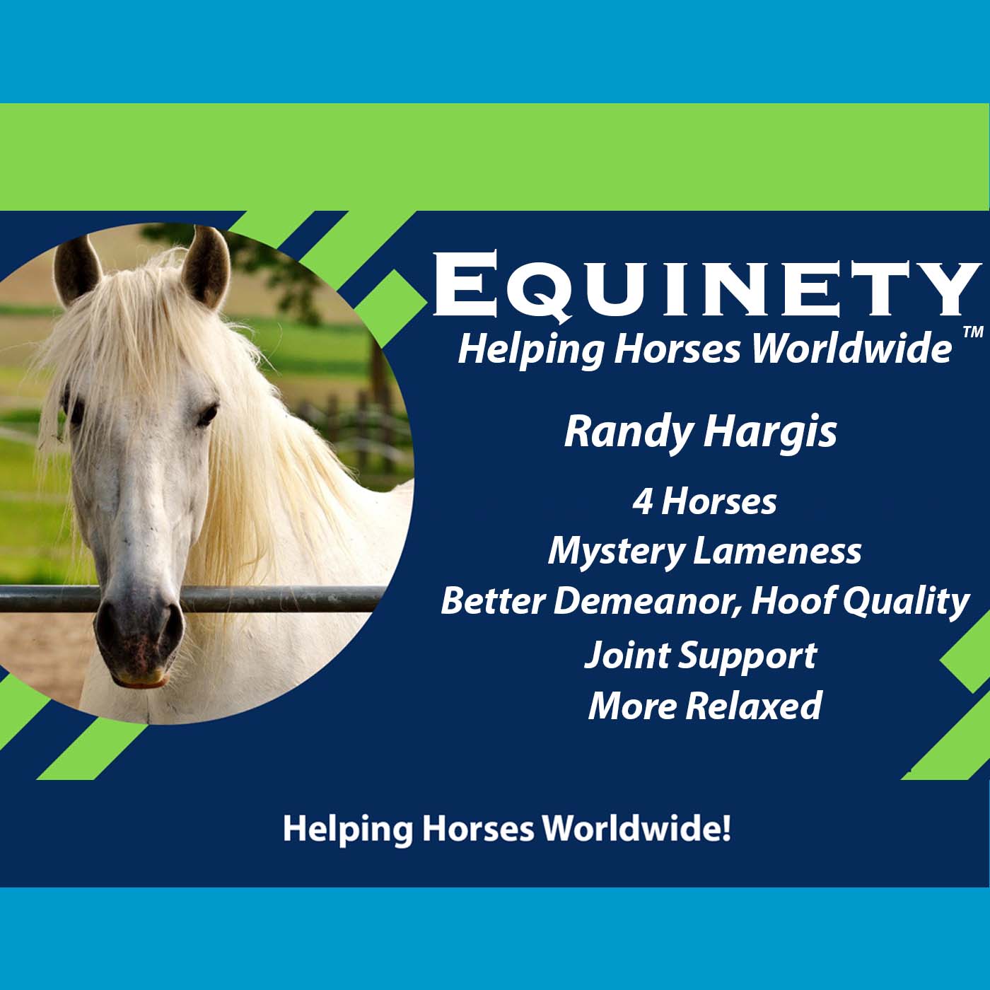 Randy Hargis – 4 Horses - Mystery Lameness – Better Demeanor - Coat – Hoof - Joint Quality – More Relaxed