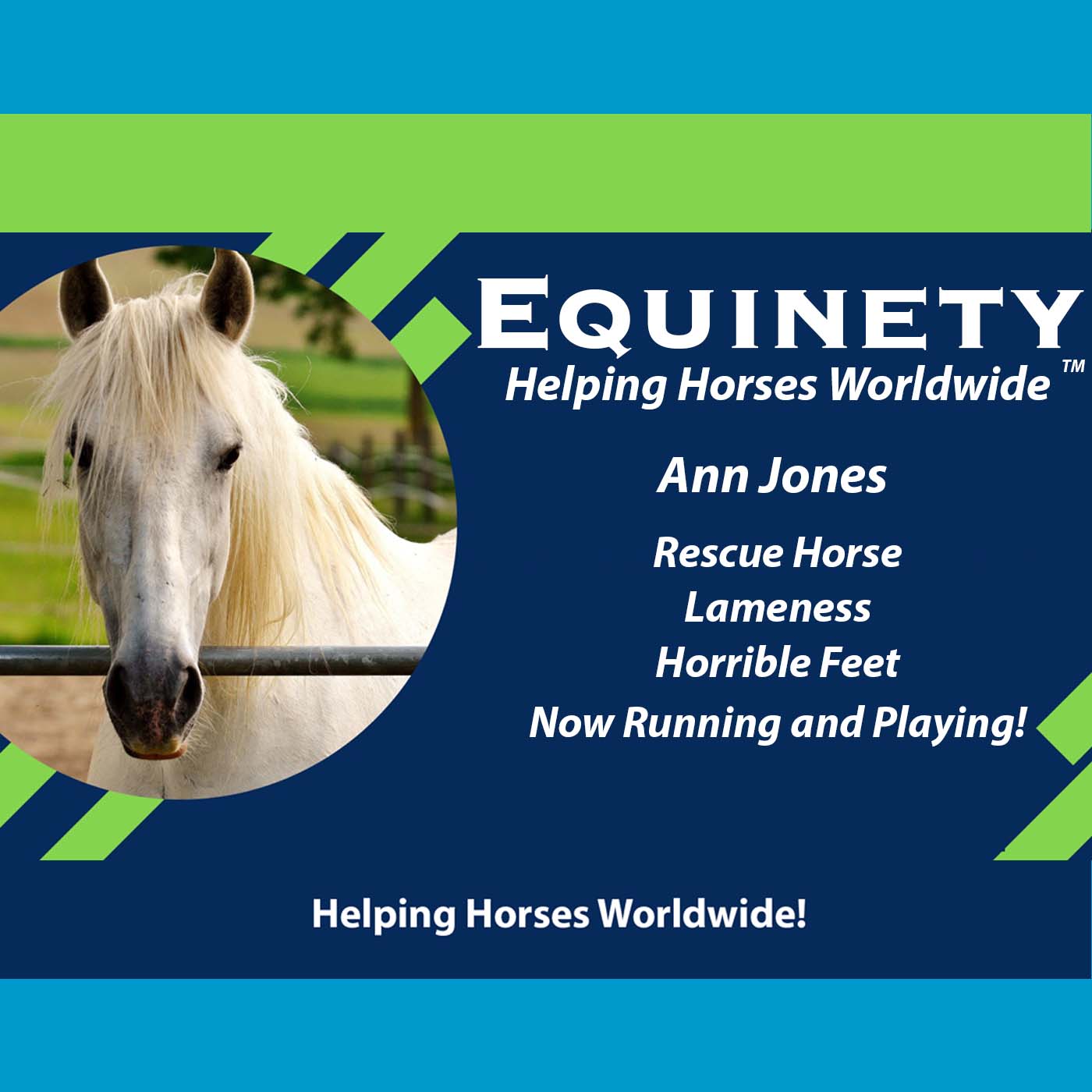 Ann Jones - rescue horse – lame - horrible feet – now running and playing