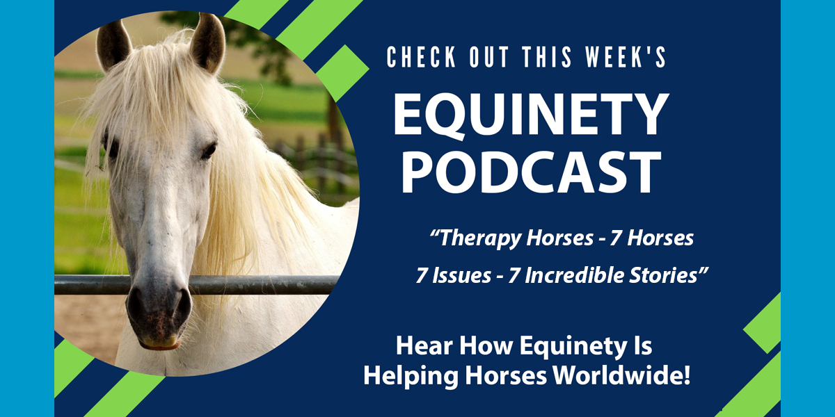 Therapy Horses - 7 Horses - 7 Issues - 7 Incredible Stories - Horses of Warriors