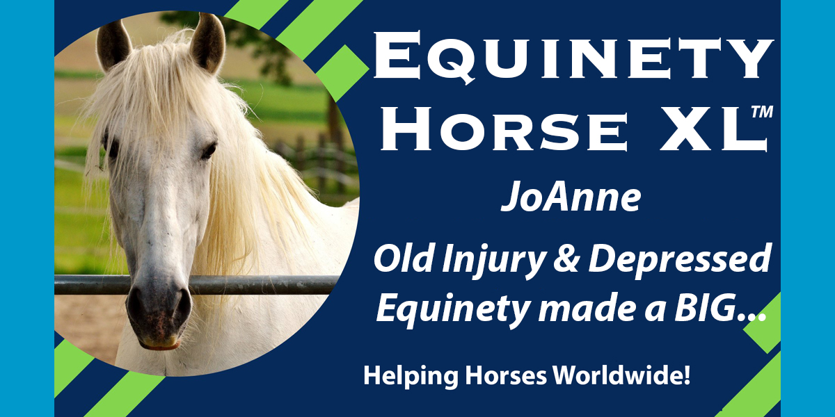 Equinety leads to a speedy recovery for the once leader of the pack